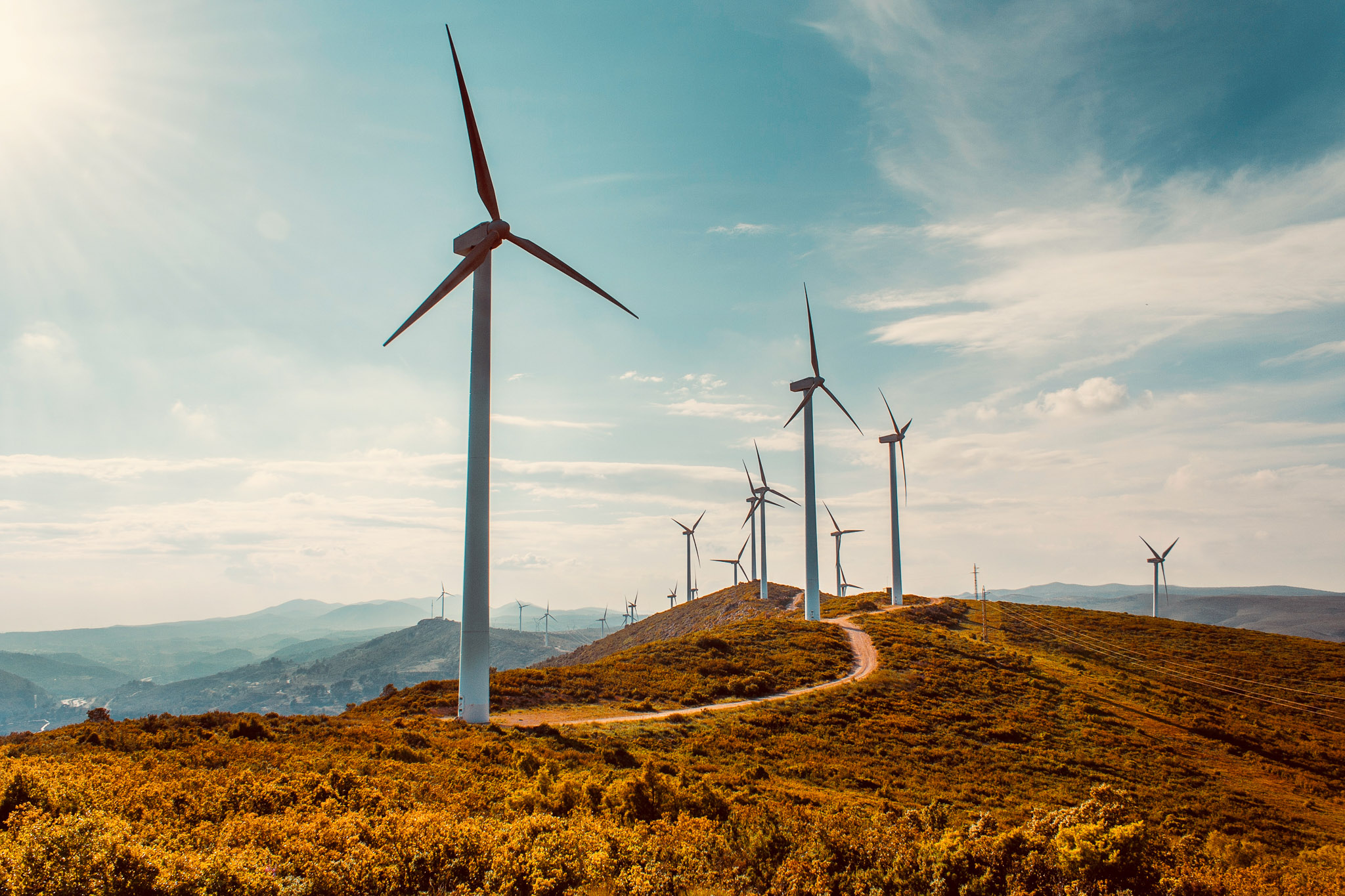 Windmills operating on a field to generate transparent energy
