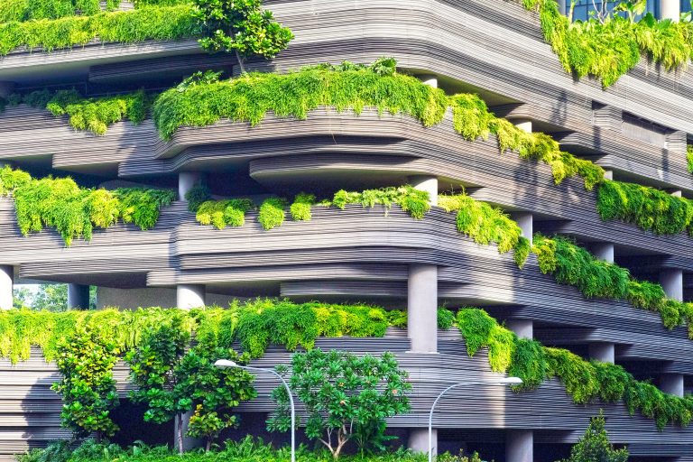 Building overgrown with grass