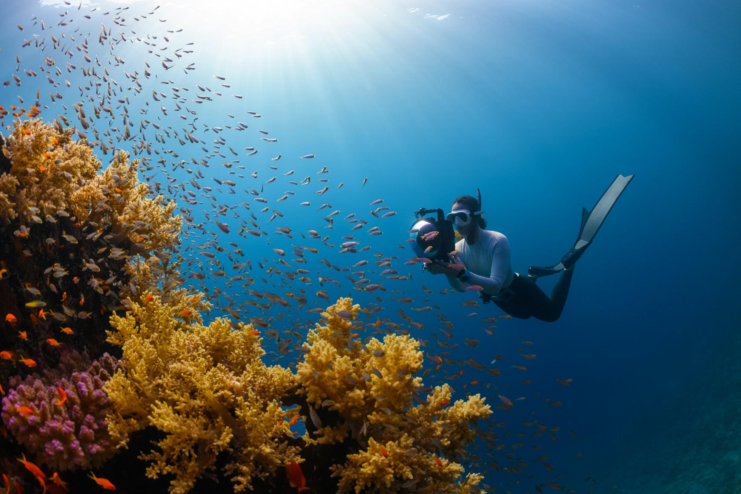 Diver taking a photo under water