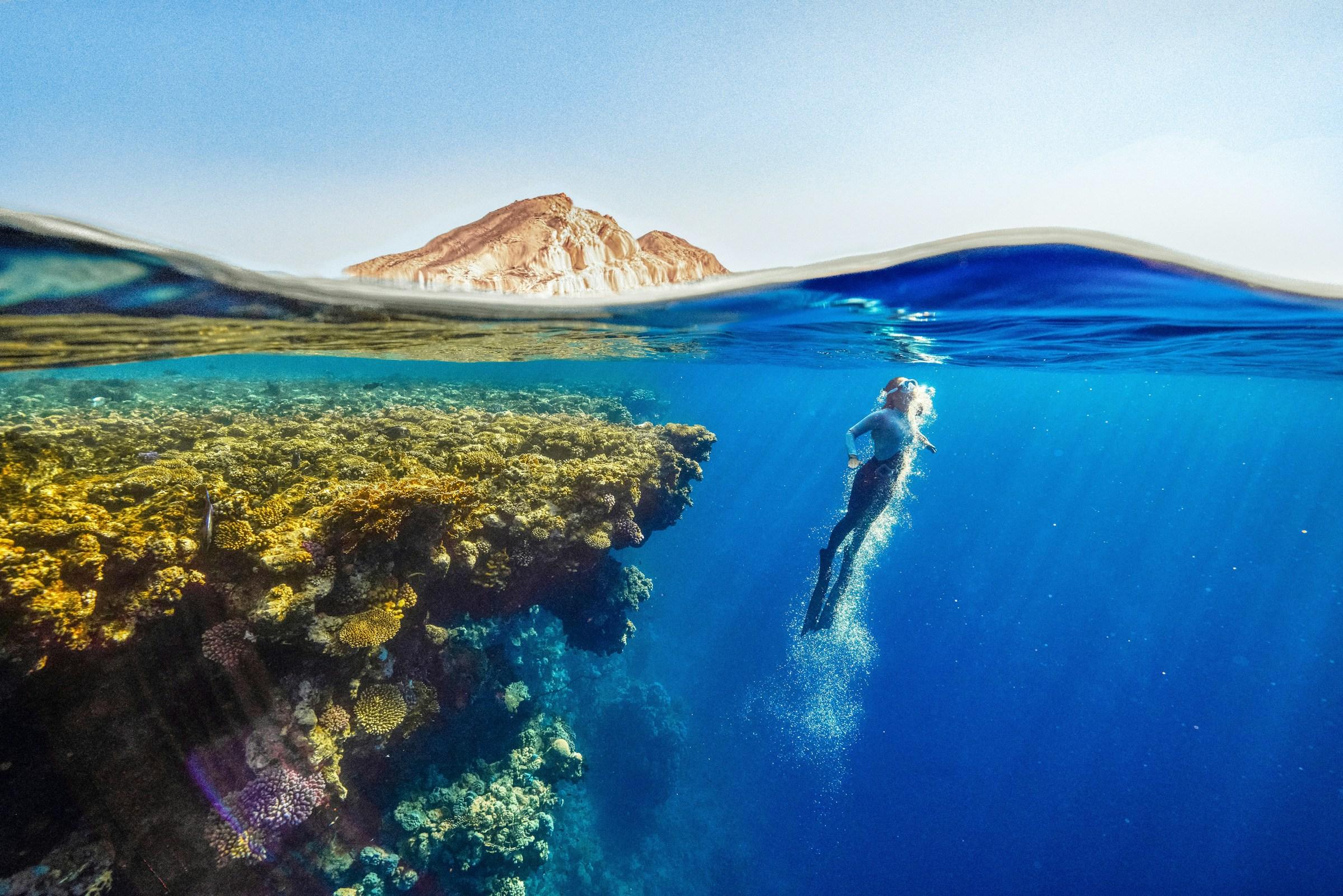 Diver swimming to the surface